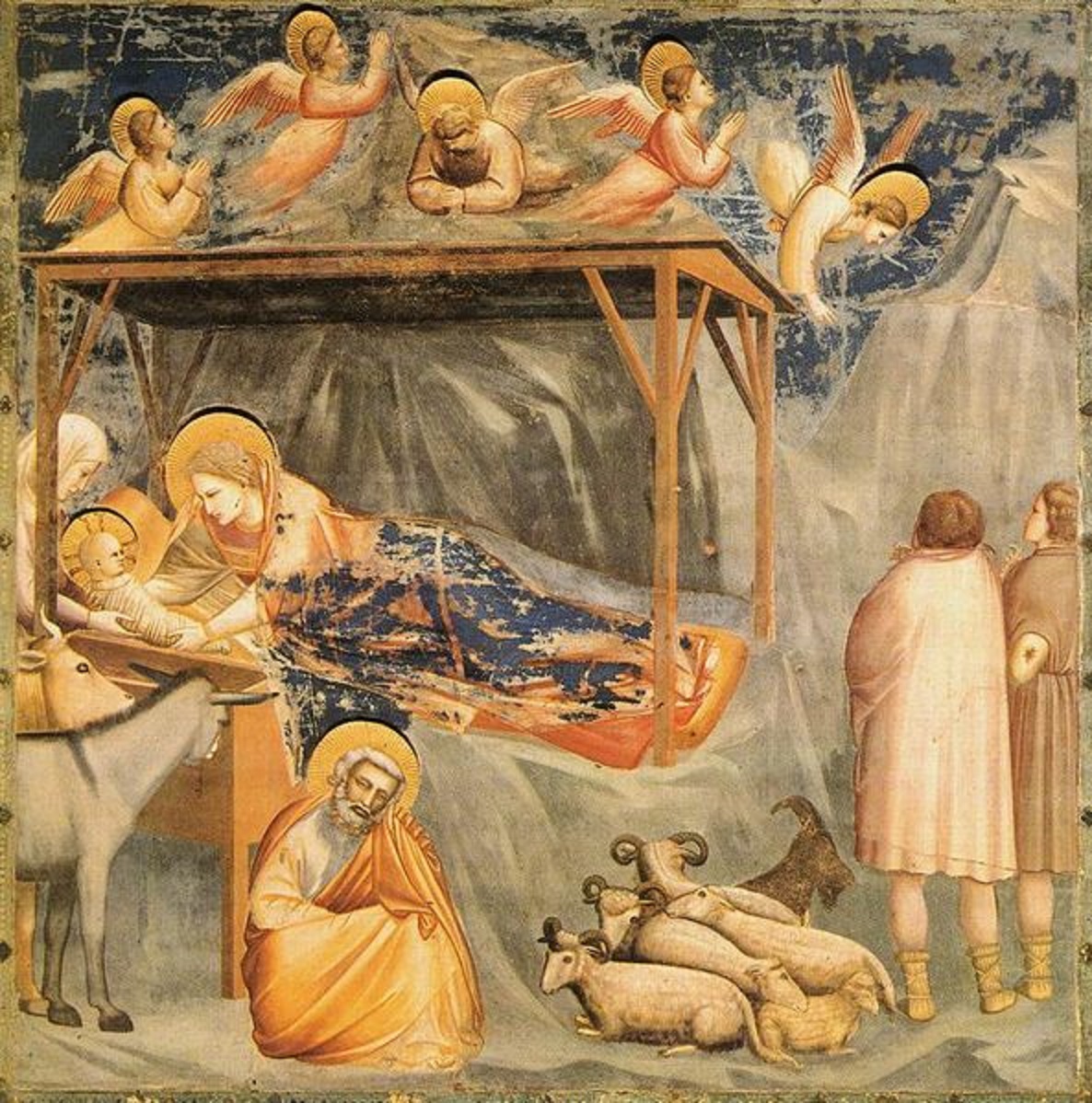 #natalenellarte
#Giotto #cappelladegliscrovegni nell'attesa
#buonavigilia