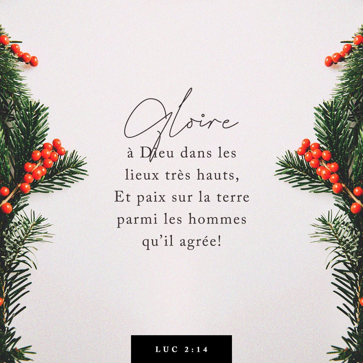 ArletteMassaga's tweet photo. « Gloire à Dieu au plus haut des cieux, et sur la terre paix à ceux que Dieu aime! »
Luc 2:14 PDV2017

https://t.co/Mp2NRohJSL https://t.co/JPp4Oq9u5S