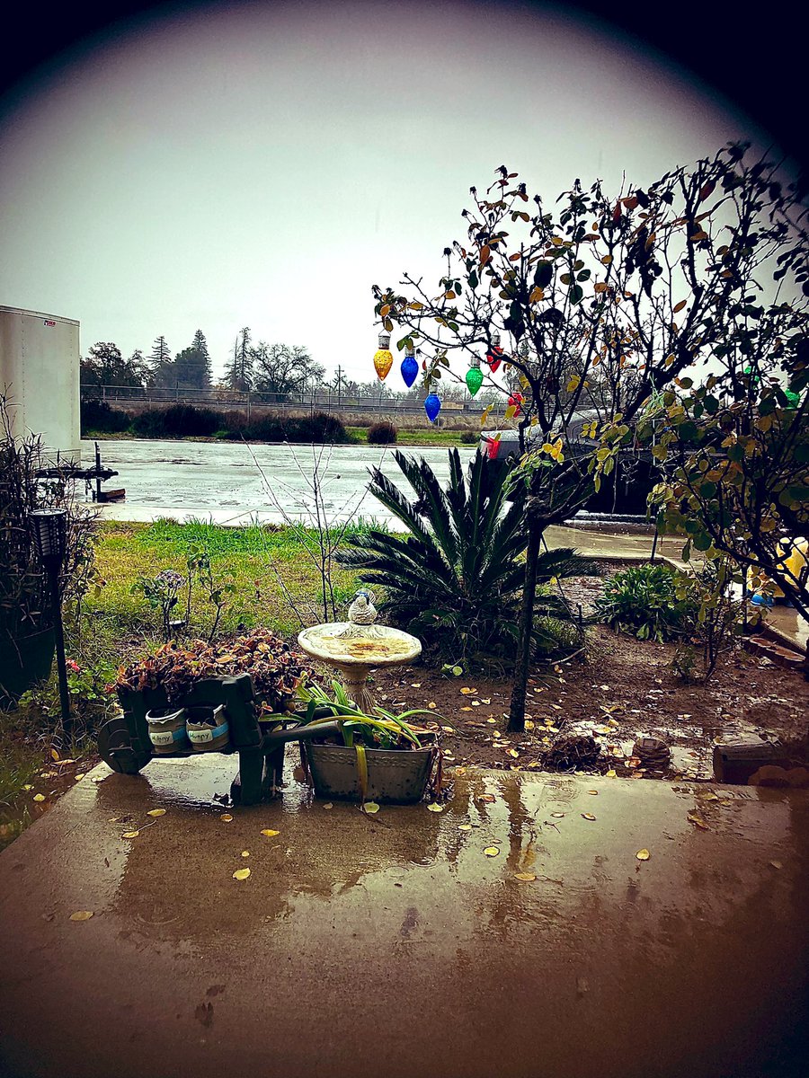 esme_302's tweet photo. Shot from a hole in my screen door
#photography #cellphonecamera #rainyday #rain https://t.co/gPYcag5SEu