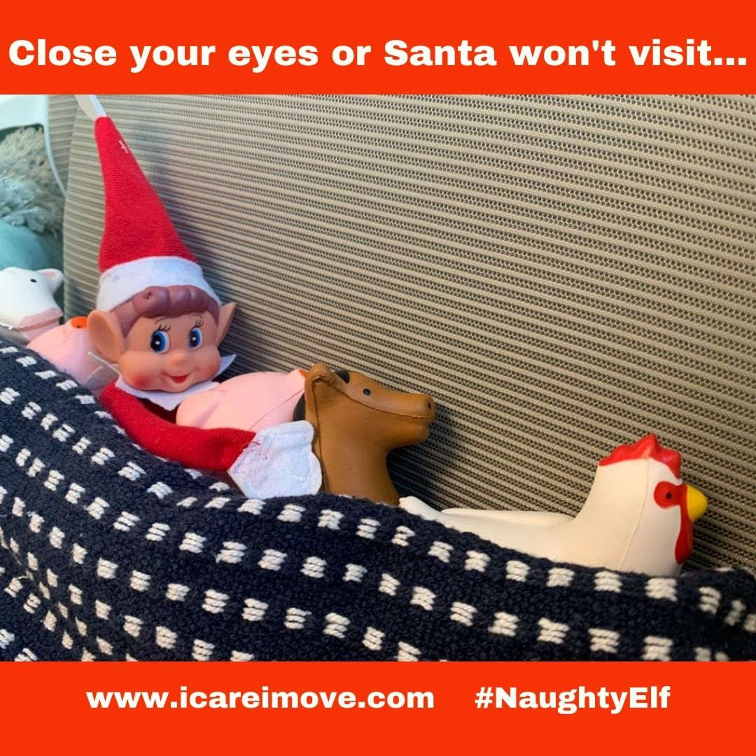 Happy Christmas eve. One sleep to go. Bit early for bedtime mate.
#NaughtyElf #Christmas