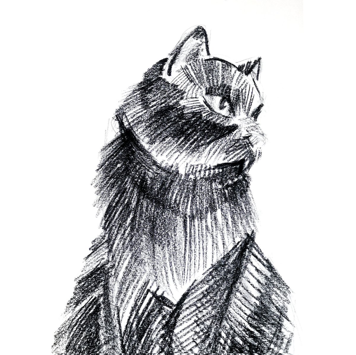 KidMorose's tweet photo. Servant of Satan.  Meow😈

#meow #cats #nftart #traditionalartist #charcoal #BlackCat https://t.co/OKyp0Wc80C