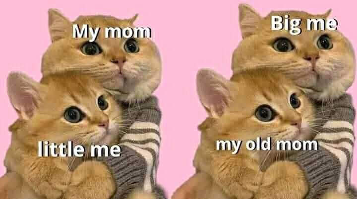 Wholesome memes&gt;&gt;&gt;