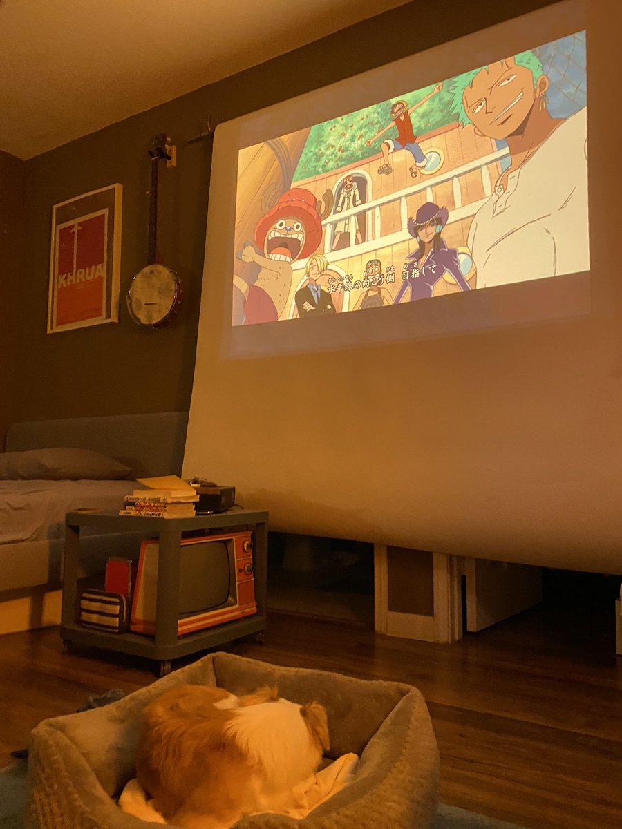 gingerrootmusic's tweet image. Bad news: I tested positive for covid. 
Bad news: I feel like garbage. 
Bad news: no xmas for me this year. 

Good news: now I actually have time to catch up on one piece.