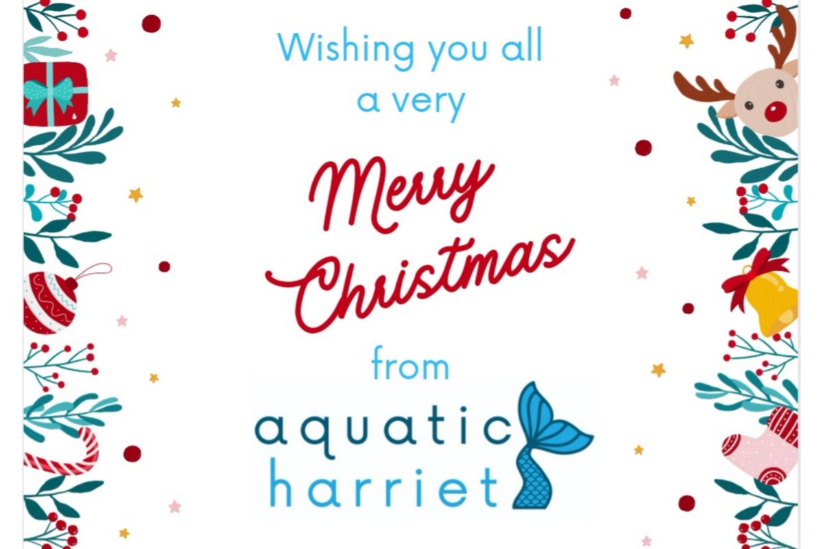 🎄🎉

A very Merry Christmas to everyone. And a massive thank you to all my clients who have been so incredibly fabulous and all done so well this year. I absolutely love my job but I wouldn't be able to do it without you!

#aquaticharriet #aquaticharrietswimcoach