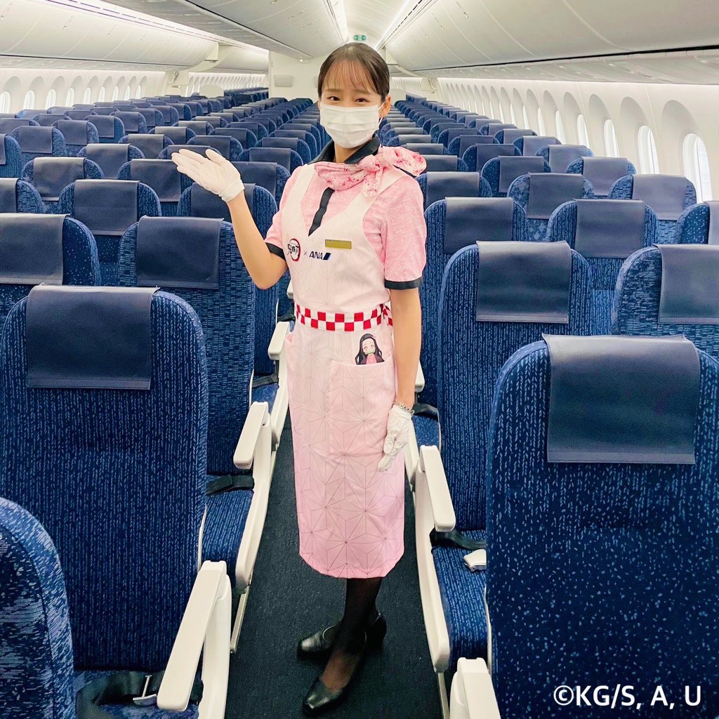 新品未使用JAL客室乗務員制服エプロン日本航空キャビンアテンダントエプロン