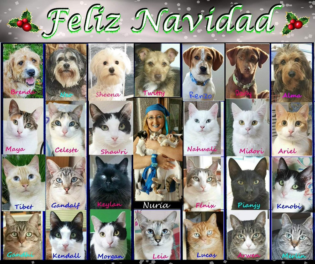 nuris9's tweet photo. Con amor para todos nuestros amigos y seguidores, mi familia animal y yo ... ❤ https://t.co/hHTDdL8SYW