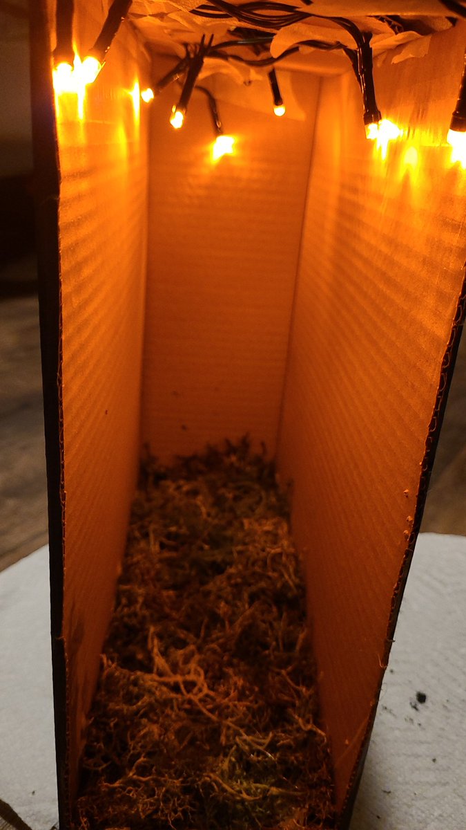 Ceo_of_coffee's tweet photo. The beginning of a Book Nook for Damian's book shelf . Hopefully it turns out great 🤞🏻🤞🏻🤞🏻 https://t.co/FjUNefFHhN