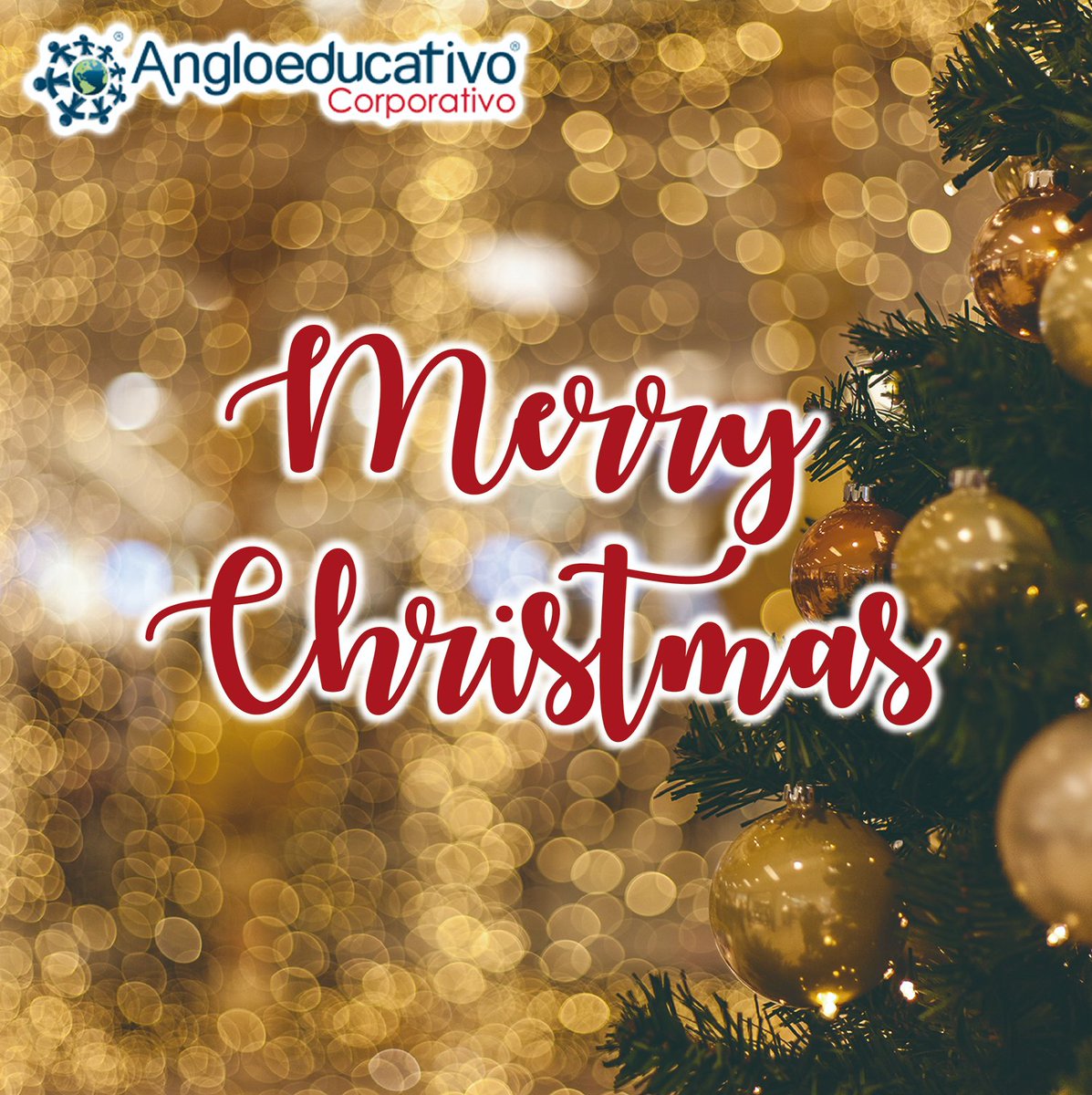 Angloeducativo's tweet photo. #navidad2021 🎄#Angloeducativo  les desea una feliz 😃 #navidadenfamilia🎅🤶 https://t.co/aY0jxnLvu1