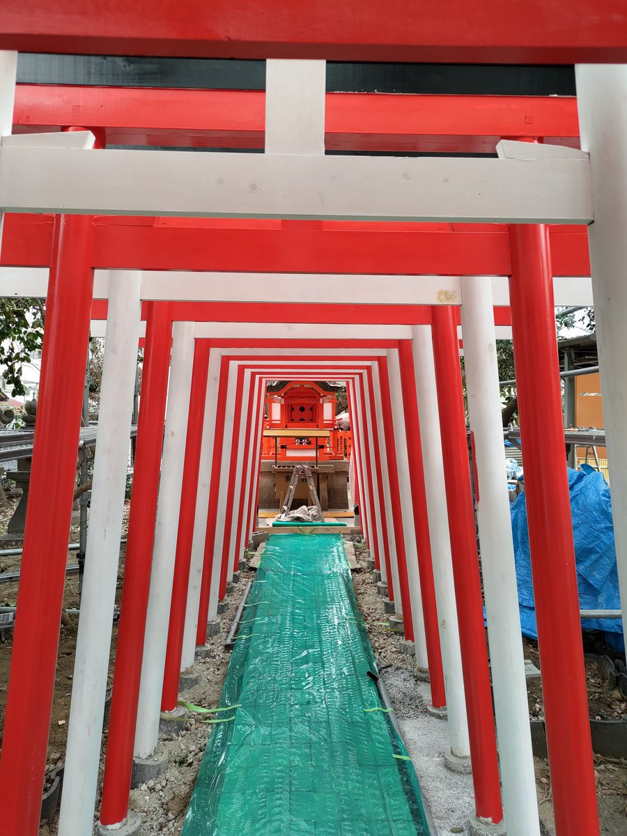 今だけシリーズ第２弾
紅白鳥居です。
午後から白い鳥居も赤く塗られます。