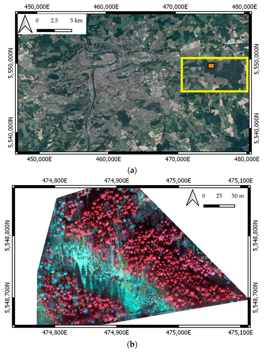 RemoteSens_MDPI's tweet photo. Automatic #Tree #Crown Extraction from UAS Multispectral #Imagery for the Detection of Bark Beetle Disturbance in Mixed #Forests
by Robert Minařík, Jakub Langhammer and Theodora Lendzioch
👉https://t.co/cP57QdUpDa
#remotesensing https://t.co/K5OWosLTmj