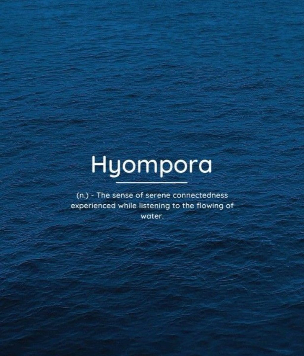 Summer__Phoenix's tweet photo. #Word | #ObscureWord | #RareWord https://t.co/4wKeQk59dR