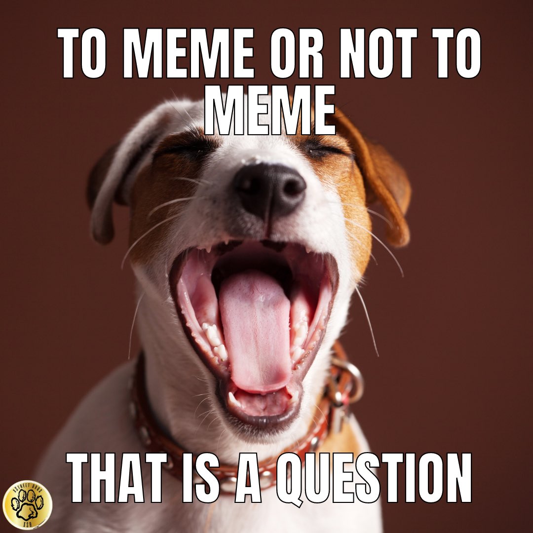 XummerDrop's tweet photo. It's time for XSD memes! 🐶

Comment here your funny #XSD memes and the top 3 with most likes will win 100,000 XSD. 

Let the games begin! 🐶

Sponsored by @XStreetDogs

Ends 48hrs

#XRPLcommunity #XSD #PAWsome https://t.co/yP4pfRciqx