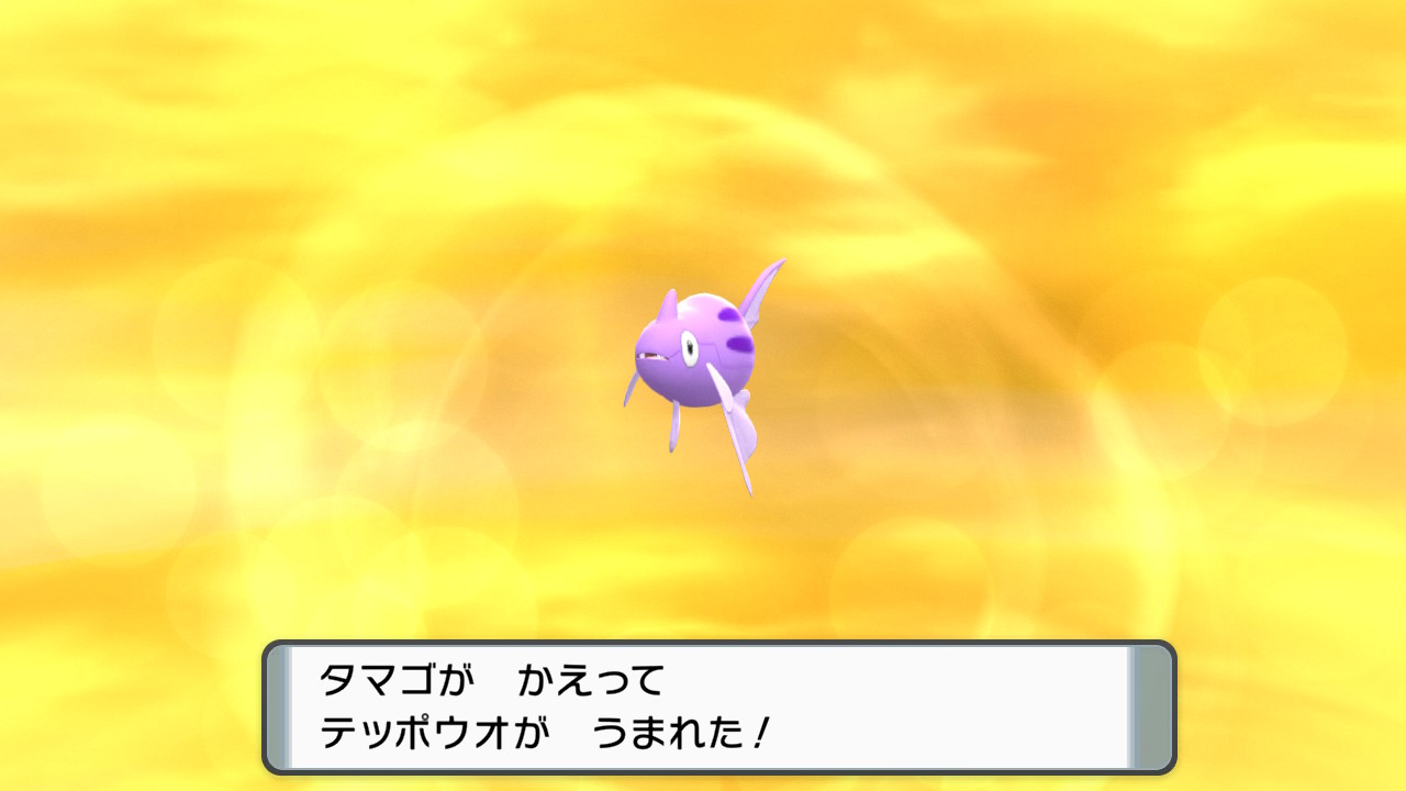 けーせー 国際孵化3037匹で色出た Kesevgc Twitter