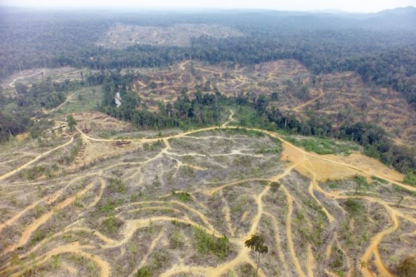 EppyFizul's tweet photo. "Janganlah kerana terlalu mengejar pembangunan, kita lalai dan alpa hingga mengorbankan kawasan alam sekitar yang sangat berharga ini"

Pahang: https://t.co/3CTcUXbiUO