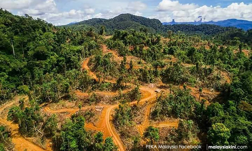 EppyFizul's tweet photo. "Janganlah kerana terlalu mengejar pembangunan, kita lalai dan alpa hingga mengorbankan kawasan alam sekitar yang sangat berharga ini"

Pahang: https://t.co/3CTcUXbiUO