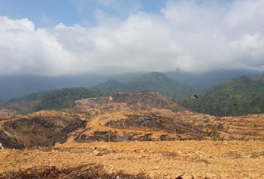 EppyFizul's tweet photo. "Janganlah kerana terlalu mengejar pembangunan, kita lalai dan alpa hingga mengorbankan kawasan alam sekitar yang sangat berharga ini"

Pahang: https://t.co/3CTcUXbiUO