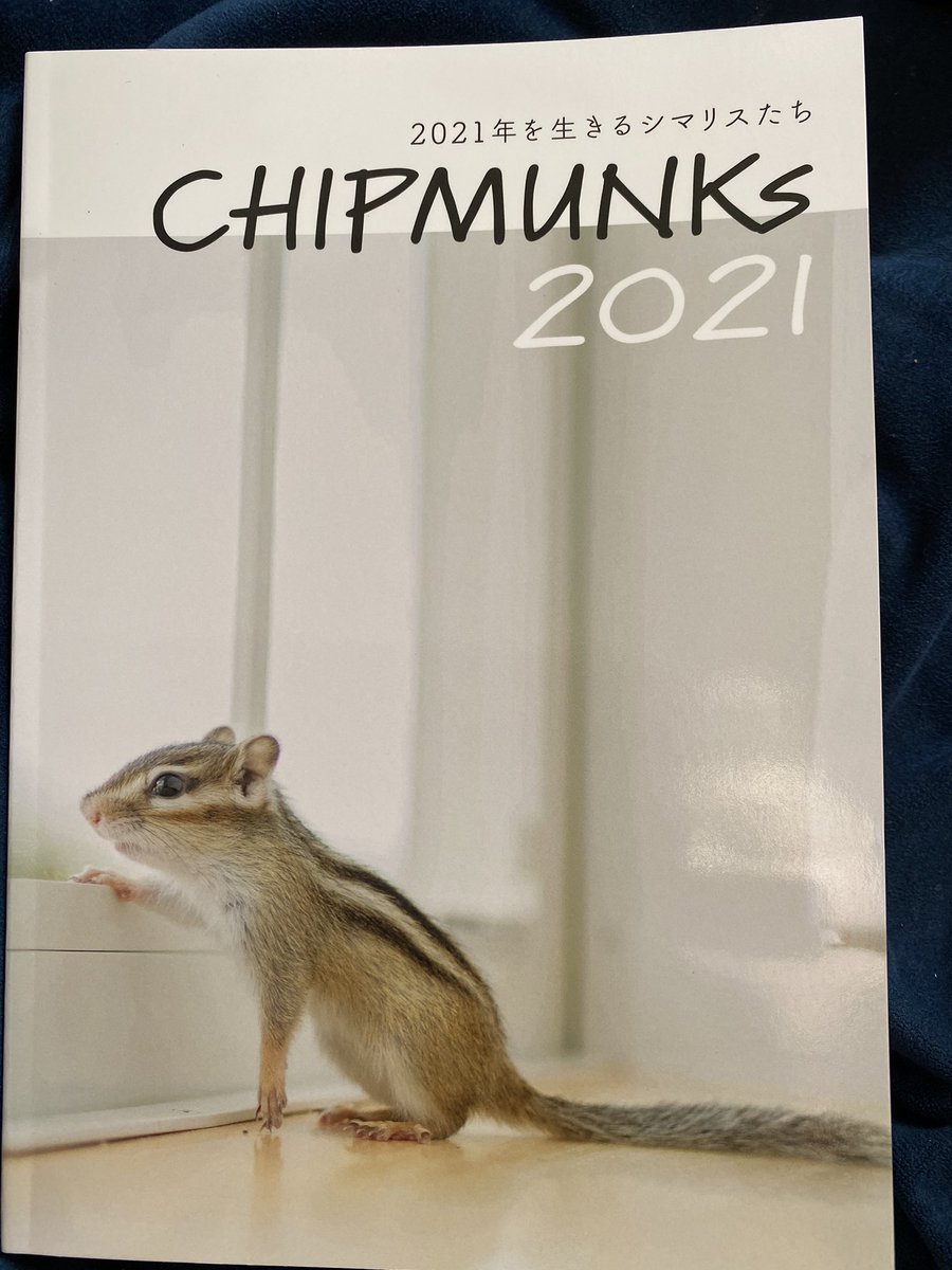 麗令々 Simako Reirei Twitter 麗令々 Simako Reirei Twitter