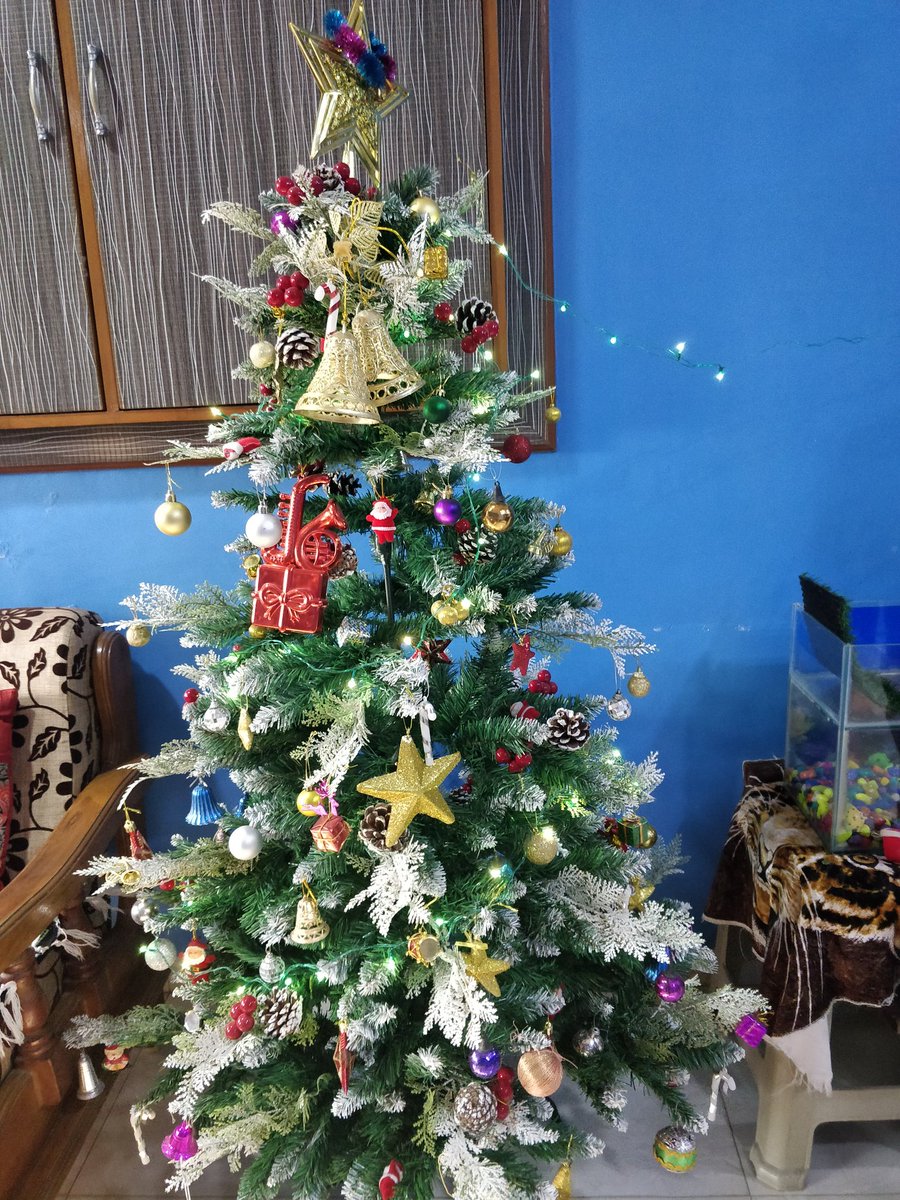 Rutvikmac's tweet photo. He's coming 🎅🎄🎄 https://t.co/g9IjbnKGue
