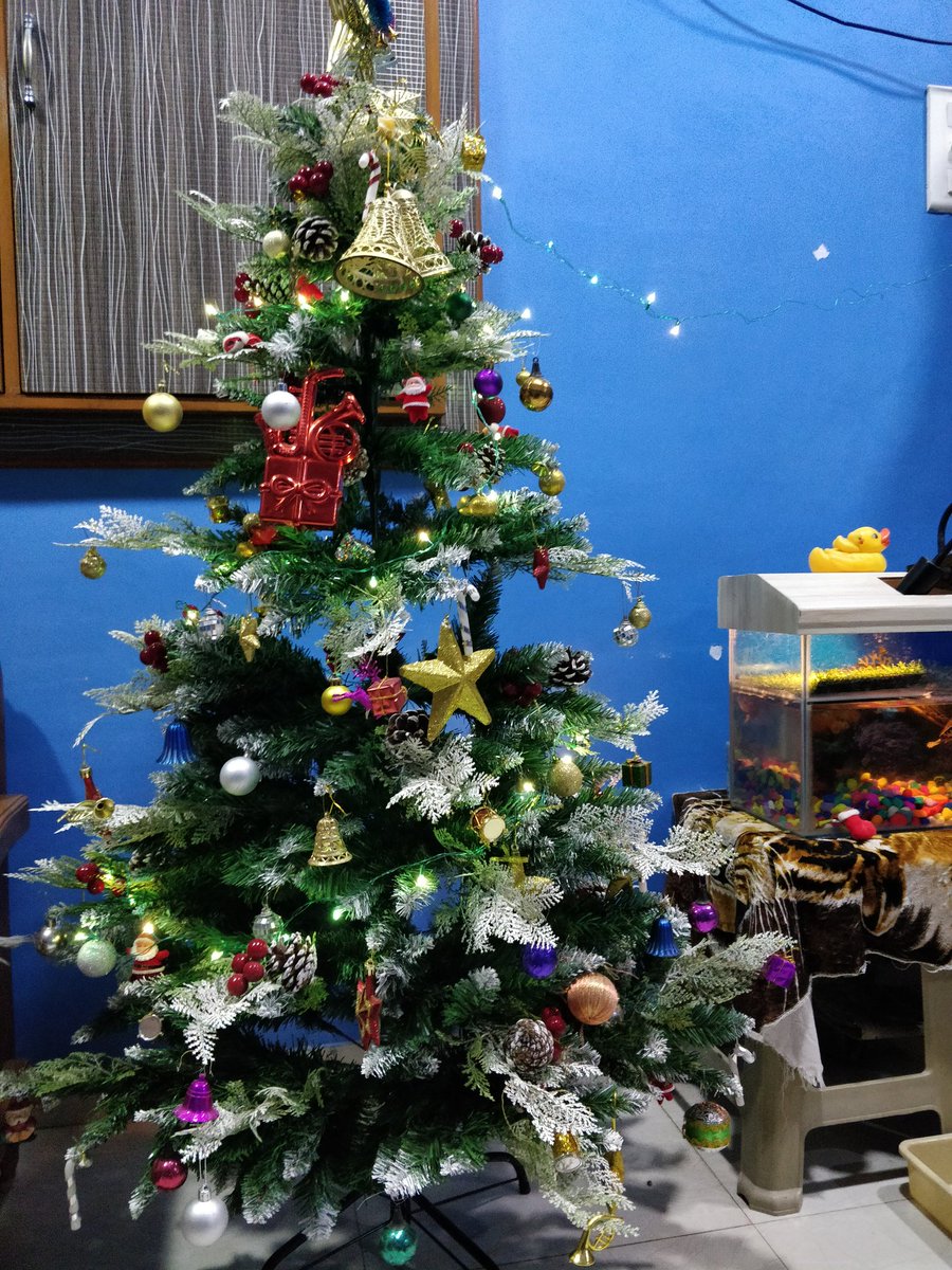 Rutvikmac's tweet photo. He's coming 🎅🎄🎄 https://t.co/g9IjbnKGue