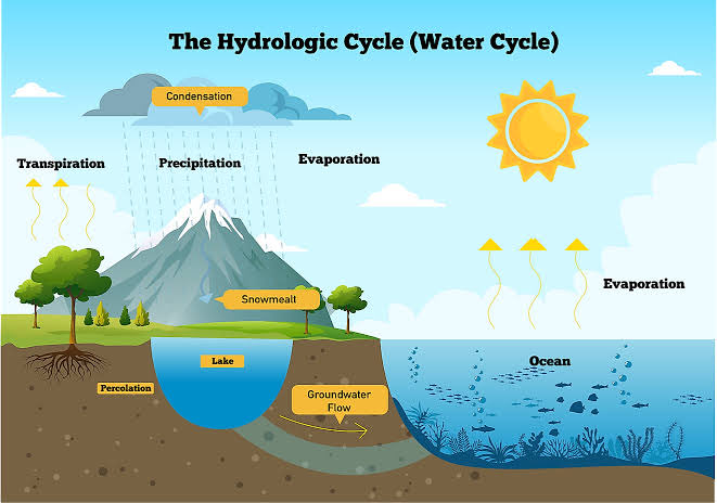 Water and Environment tweet media