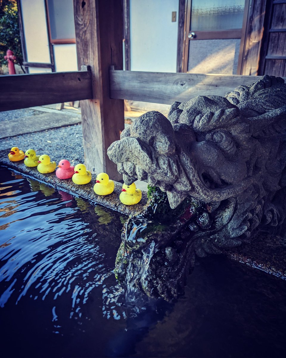 rosary702's tweet photo. https://t.co/zSBwqUixZT