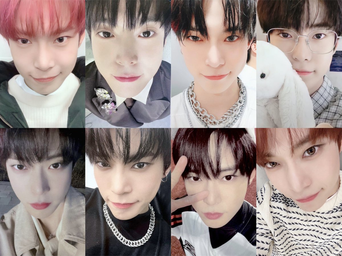 또잉 tweet media