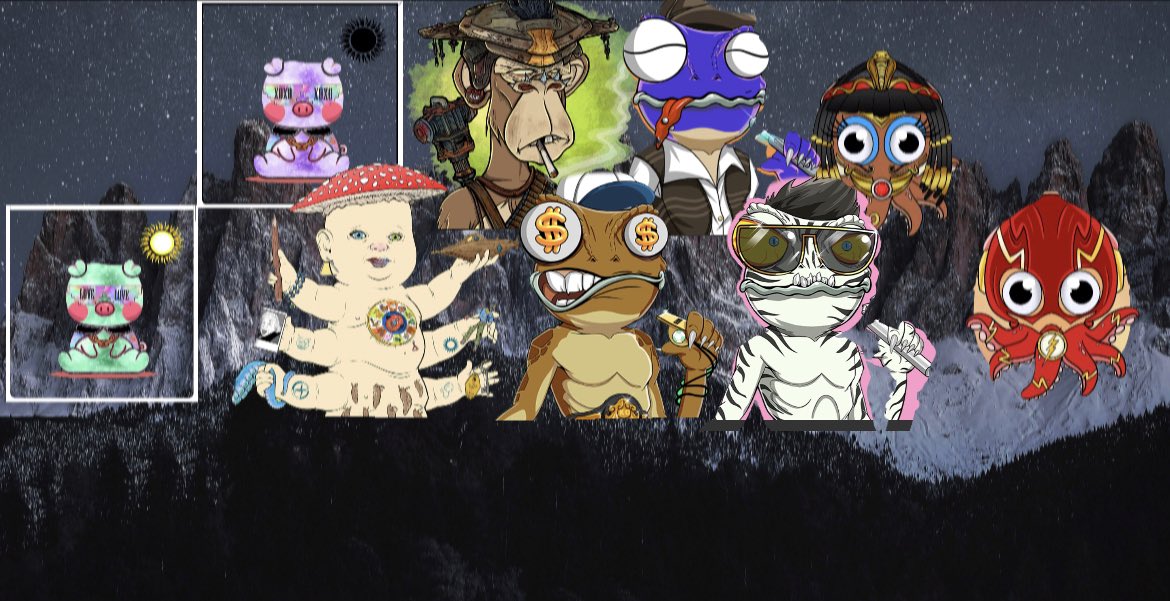 Im in awe with our collection 😍  team went crazy this week ‼️💅🔥 <a href="/Cyberpiggiesnft/">Cyber piggies nft</a> <a href="/apocalypticapes/">Apocalyptic Apes | 🦍</a> <a href="/toddlerpillars/">Toddlerpillars</a> <a href="/CrazyLizardArmy/">Crazy Lizard Army</a> @BCOctopuses 🔥🔥🔥🔥