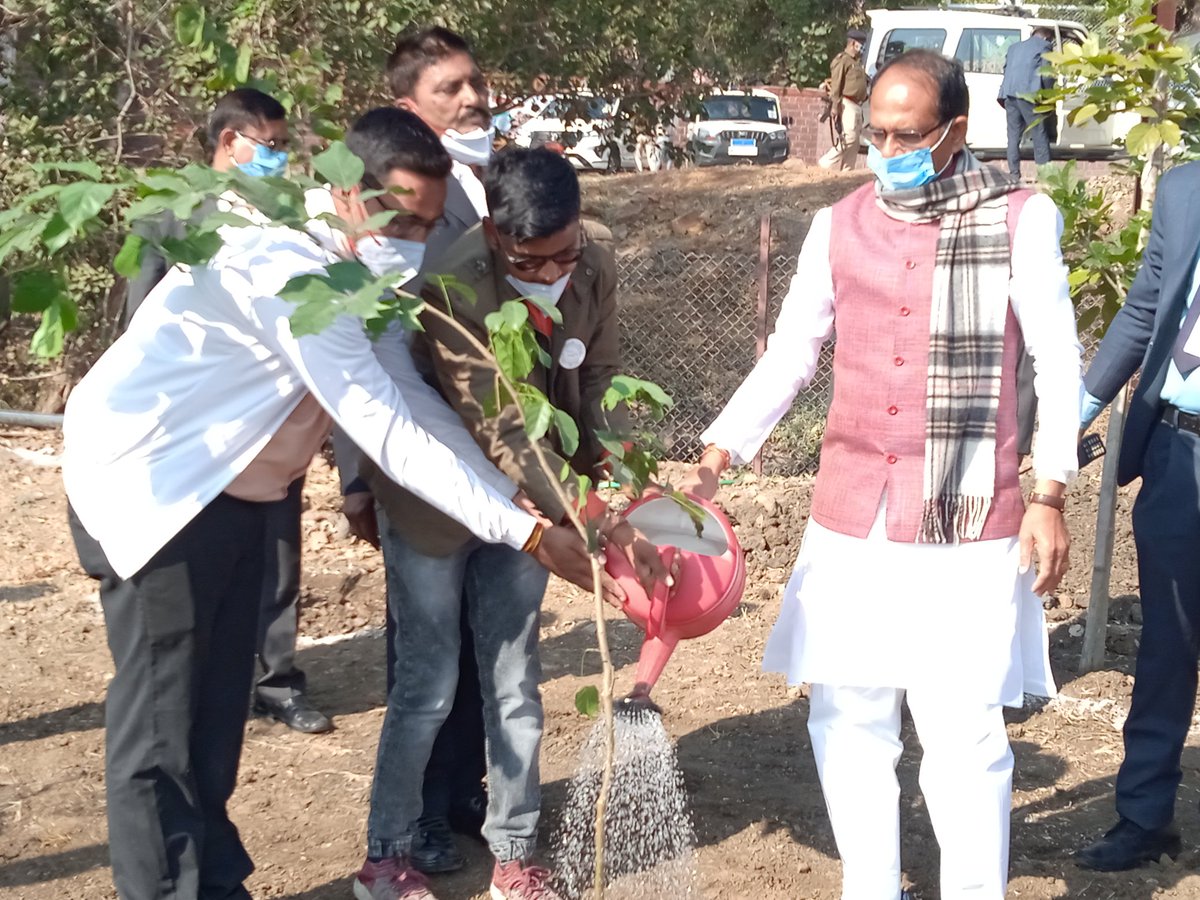CMMadhyaPradesh's tweet photo. मुख्यमंत्री श्री @ChouhanShivraj ने आज स्मार्ट उद्यान में जीवन सार्थक फाउंडेशन के सदस्यों श्री शैलेंद्र दुबे, श्री राजेंद्र दुबे और श्री लकी नेगी के साथ गुलमोहर और करंज के पौधे लगाए। https://t.co/eCuqS7x8Qy