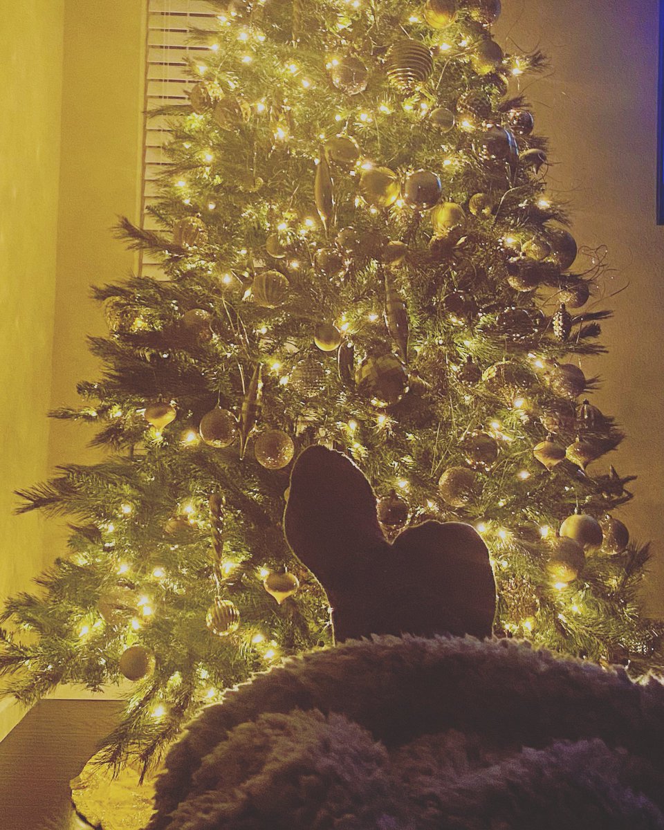 hawkins_corner's tweet photo. ✝️🎄🎁 It’s the most wonderful time of the year!Jesus is the reason for the season! ✝️ 
•
•
•
•
#naturalhair #teacher #fashion #style #beauty #makeup #fitness #christmas #christmastree #christmasdecor #xmas #love #merrychristmas #christmastime #handmade #winter https://t.co/AamUv7ZJXj