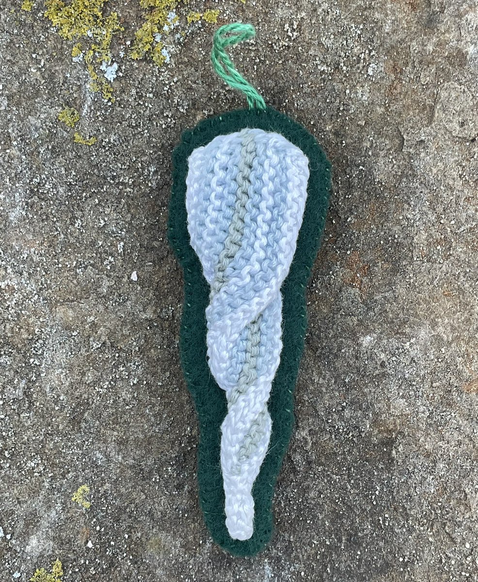 textilefusion's tweet photo. Knit Advent Day 23 features a garter stitch icicle. I knitted two icicles and sewed them back to back, so we see the “right” side of the garter stripes, on the part that is twisted around to show the back of the knitting.
#KnitAdvent #AdventCalendar #KnitIcicle https://t.co/mEtyvyQFS9
