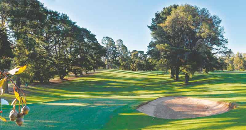 Stunning views and service 

THEY say that playing golf can tell you... 
sheppadviser.com.au/stunning-views…