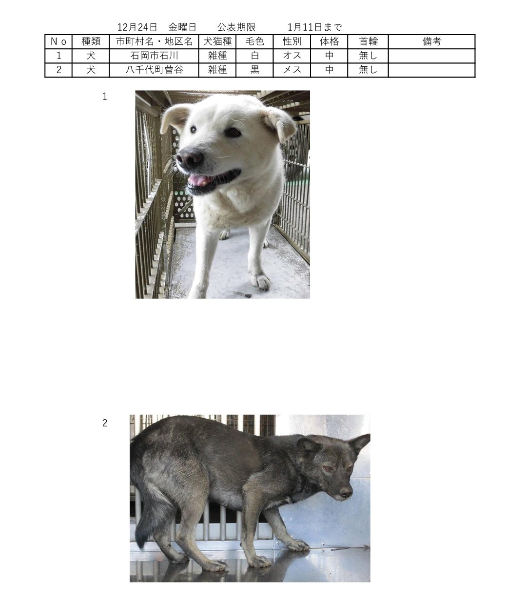 トモコ Df4sdjhcknuvdip Twitter