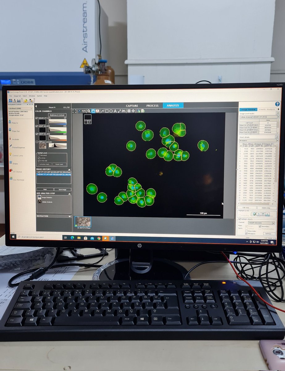 guler_lab's tweet photo. 21-22 Aralık 2021 tarihlerinde "Agilent BioTek Cytation 5 Cell Imaging Multi-Mode Reader" cihaz eğitimimizi Ant Teknik'ten Merve Türkgenci ile gerçekleştirdik. Katkılarından dolayı kendilerine teşekkür ederiz. 👏👏

#GulerLab #biochemistry #antteknik #biotek https://t.co/fQhaEc1j5G