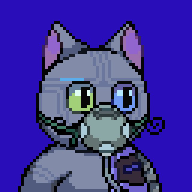CodesTGP's tweet photo. Scooped up a Kitty, just had to. Community is on fire, come check us out! @SpaceKittiesXYZ 

#1 Trending volume on the SOL network for the last hour! https://t.co/qeVVmxENhx