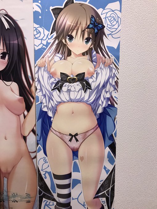 今日の抽選会で手に入れたハピメアのアリスたんのスティックポスター。
色紙とか色々あったけど即これに決めた。横にはこころたん。 