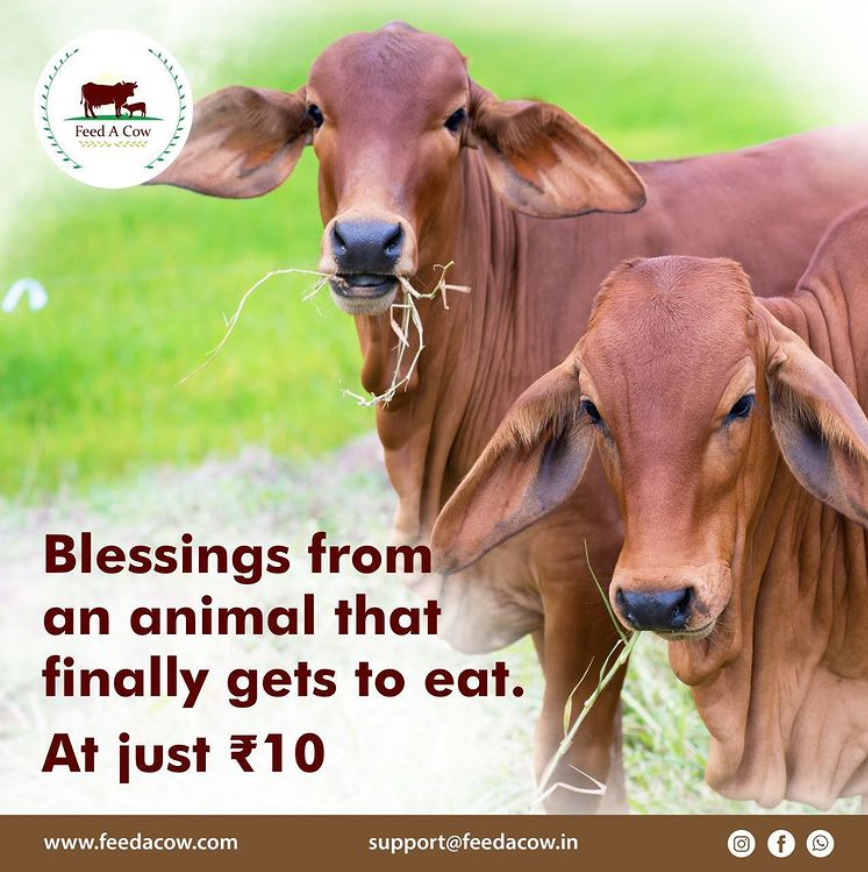 Feed A Cow (FeedACow1) Twitter