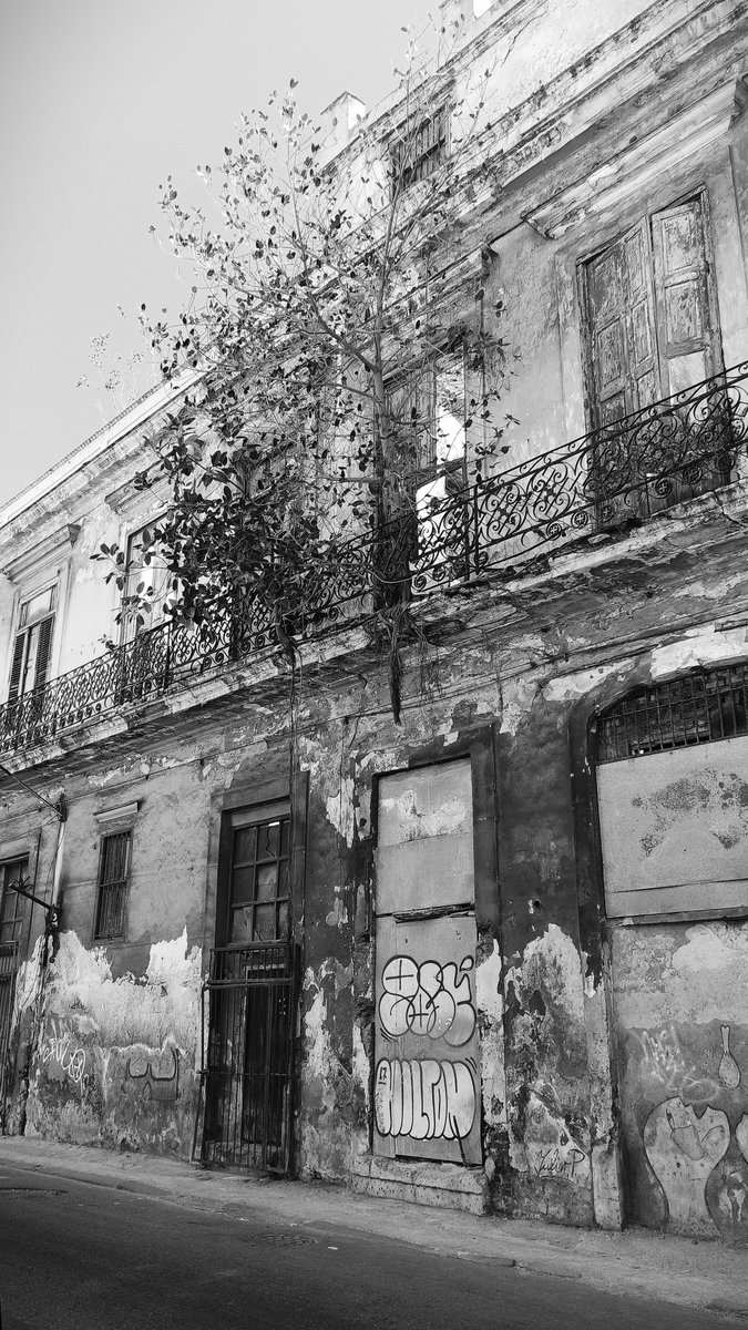 <a href="/mentalist420/">MentARTlist420🫀™</a> <a href="/nftfreaks/">NFT Freaks 🗝️🏰🦸🏿‍♂️</a> NFT + ART NFT + PHOTOGRAPHY + ART NFT + ART NFT + ART NFT + ART NFT + ART NFT + ART NFT + ART NFT + PHOTOGRAPHY + ART NFT + ART NFT + ART NFT + ART NFT + ART NFT + ART NFT + ART NFT + ART NFT + ART NFT + ART NFT + ART NFT + ART NFT + ART NFT + ART NFT + ART NFT + PHOTOGRAPHY