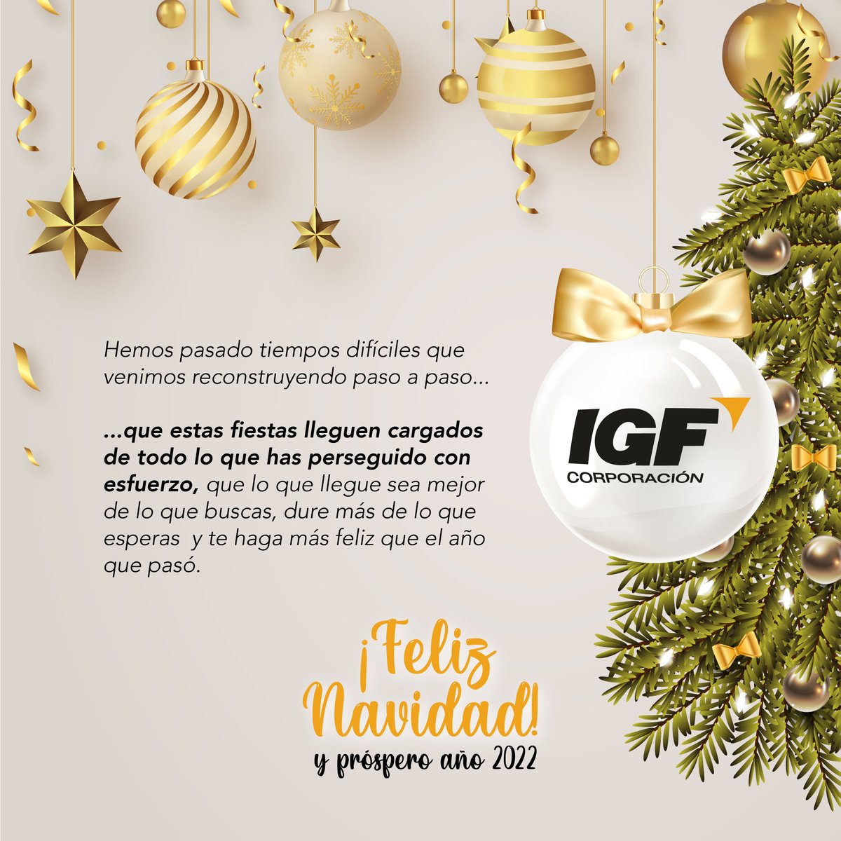 IGF_oficial's tweet photo. El equipo de #IGFCorporación brinda un saludo a clientes, amigos, clientes y socios estratégicos conscientes de que poco a poco las cosas mejorarán...

#FelizNavidad2021 https://t.co/eo7RarWlsV