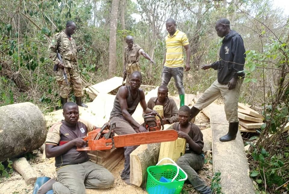 AmanzWillieONE's tweet photo. Despite the tremendous mitigation potential of forests, this solution to the #ClimateCrisis remains unprotected &amp; most abused by governments across the Globe.
This is what is happening in Zoka &amp; Kei CFRs in Uganda.
@GretaThunberg @Fridays4FutureU @vanessa_vash @CJ4Africa @EUinUG https://t.co/rAM29Z6AEY