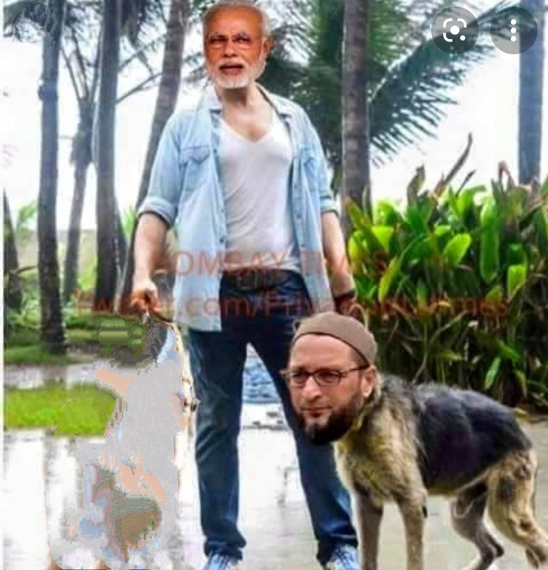 AshtBhujaji's tweet photo. RETWEET MAXIMUM AND SUPPORT THIS TREND 

#भौक_मत_ओबैसी 
 #भौक_मत_ओबैसी https://t.co/DuUmvwr0Xp