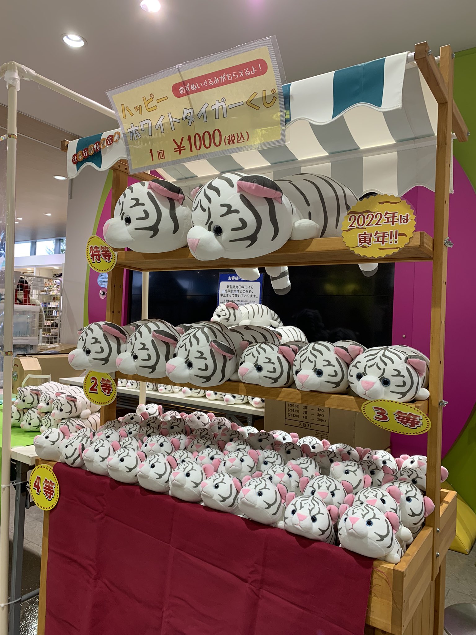 ホワイトタイガー ぬいぐるみくじ 特賞 ホワイトタイガー ぬいぐるみ