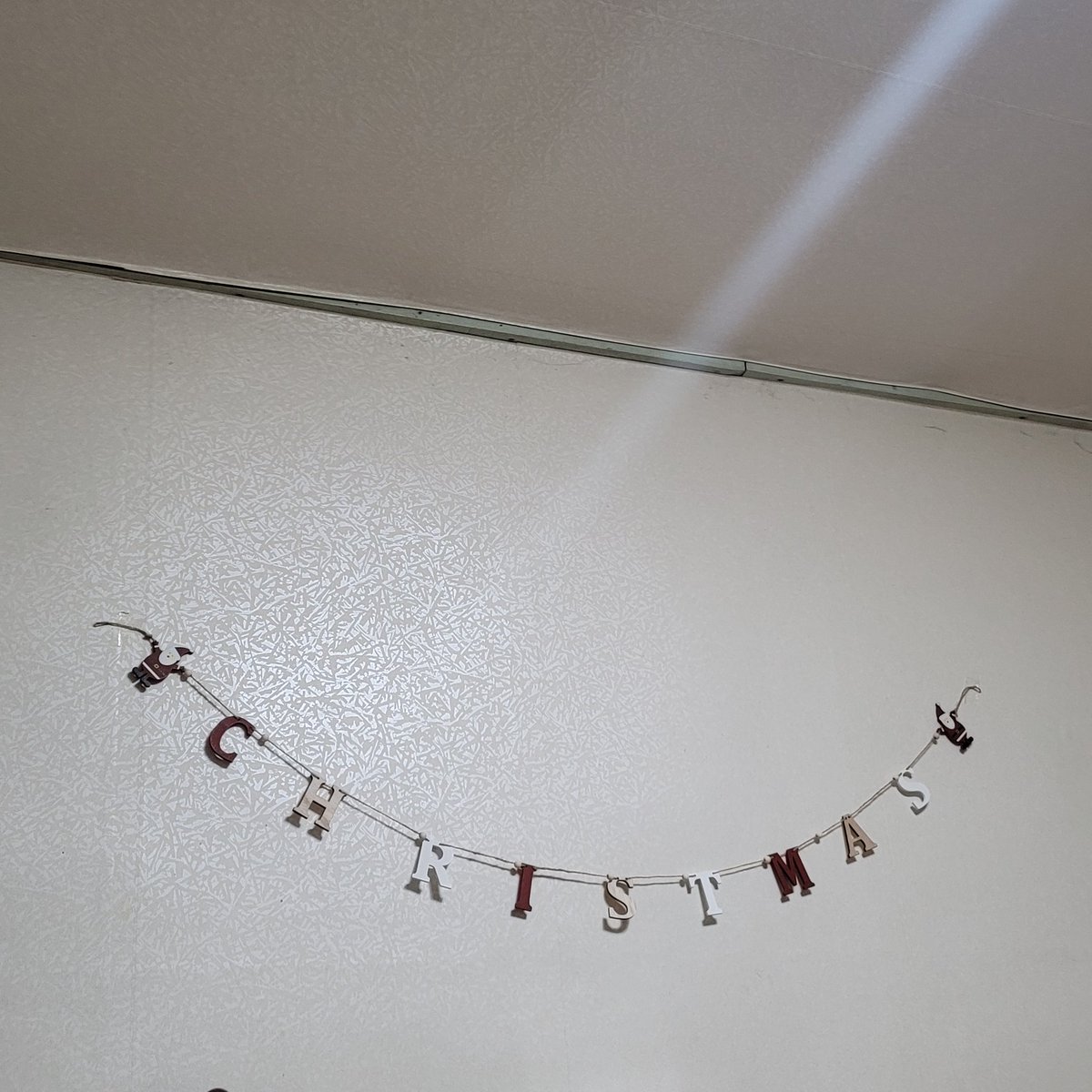 가성비 크리스마스 장식...