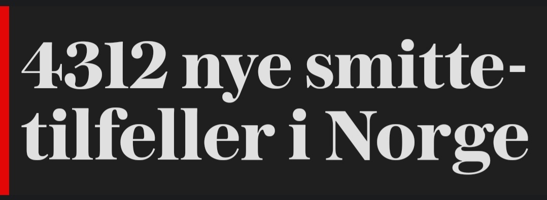 Vetle Høivik tweet media