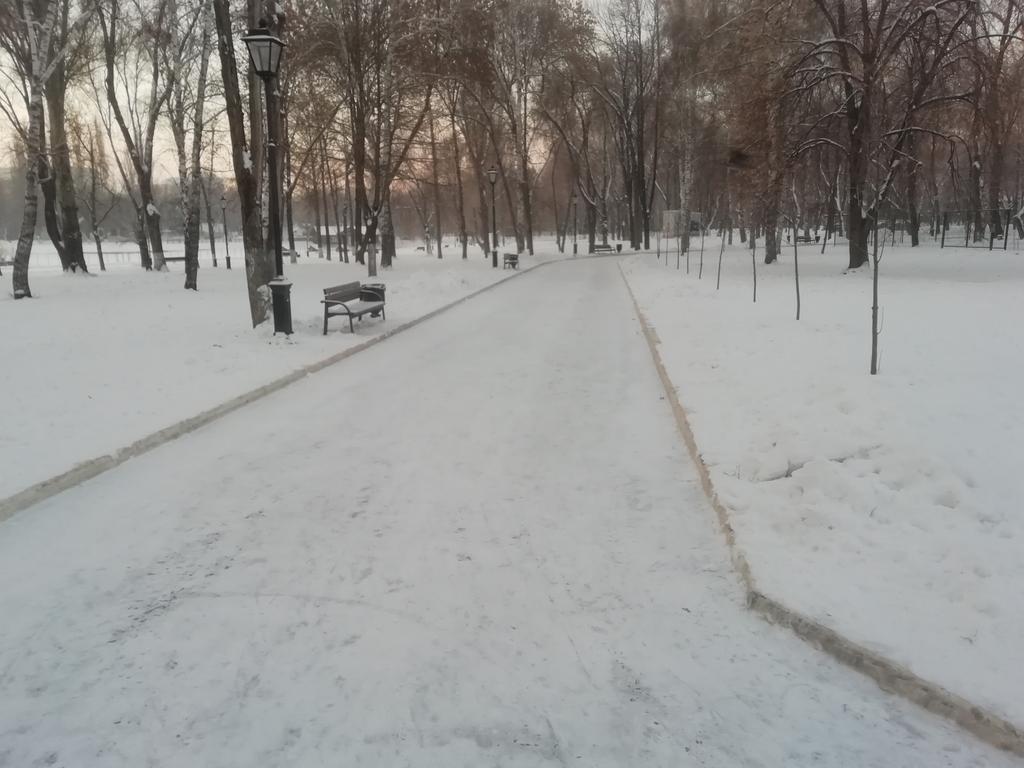 Kir_UM8's tweet photo. В парке 50 летия октября произвели очистку катка. @Rudakov_i_a @ov_safonova https://t.co/XLEhmXeclj