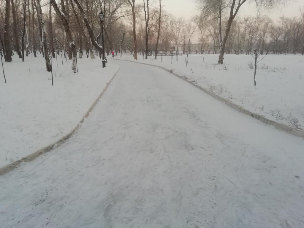 Kir_UM8's tweet photo. В парке 50 летия октября произвели очистку катка. @Rudakov_i_a @ov_safonova https://t.co/XLEhmXeclj