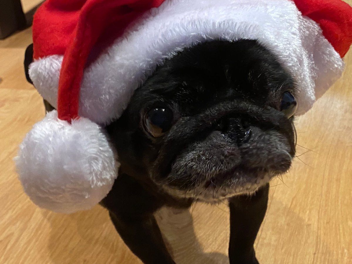 #FelizNavidad
#Carapapa 🧡 🥰