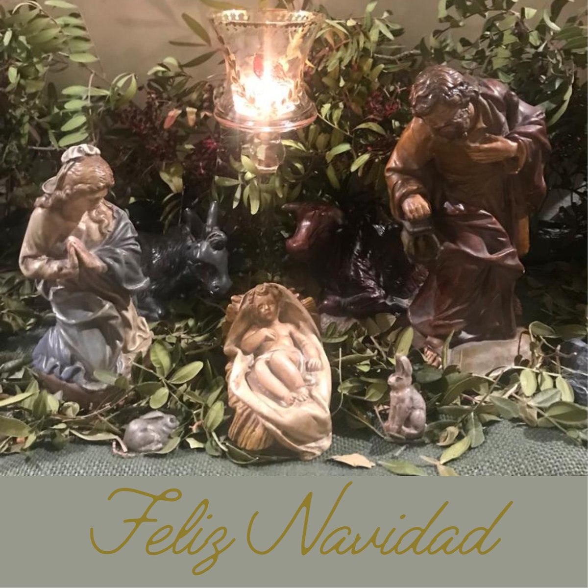 Caponato (@caponato64) on Twitter photo 