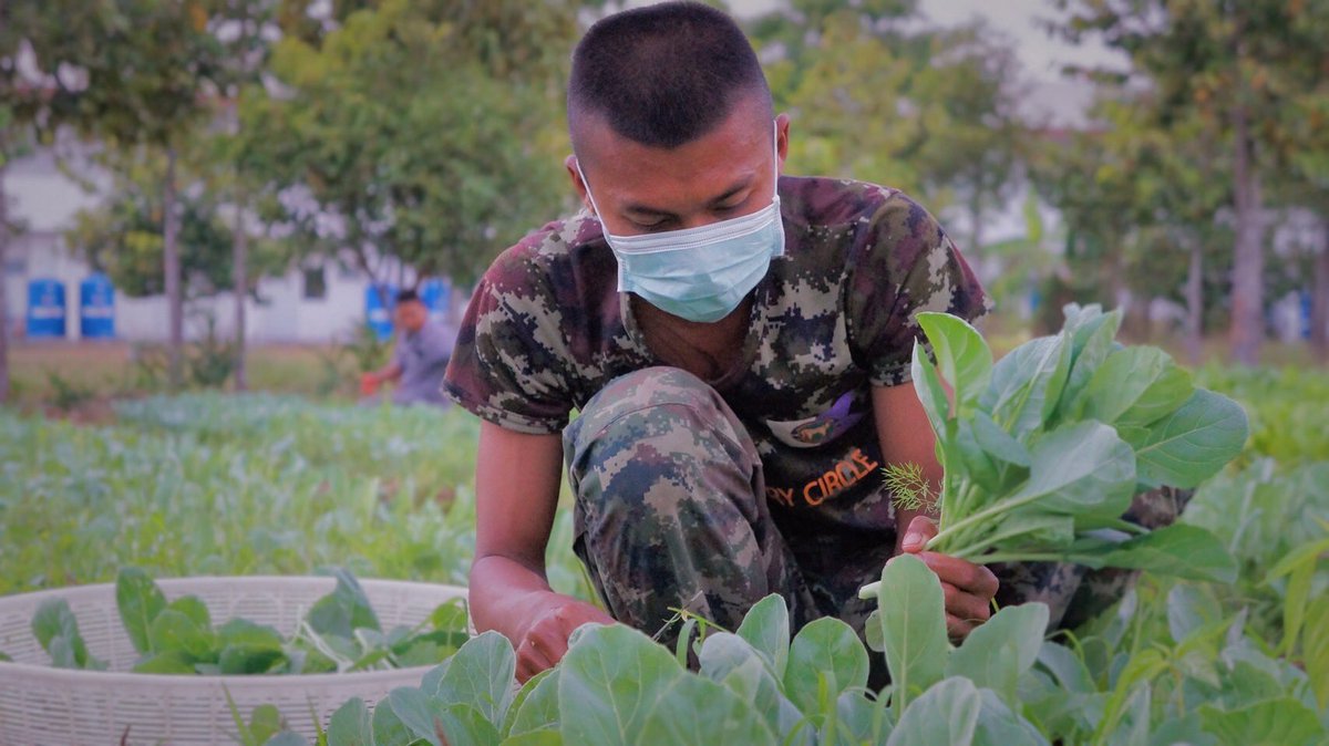 why_thahan's tweet photo. มอบความรัก ด้วยผักปลอดสารพิษ🥬

✨💂🏻‍♂️มทบ.26 นำผักปลอดสารพิษที่ปลูกภายในโครงการทหารพันธุ์ดี 🥕มาจำหน่ายในราคาถูกกว่าท้องตลาด บริเวณศูนย์อาหารโรงพยาบาลค่ายสมเด็จเจ้าพระยามหากษัตริย์ศึก 

#ทหารมีไว้ทําไม https://t.co/lLQkzQtUEQ