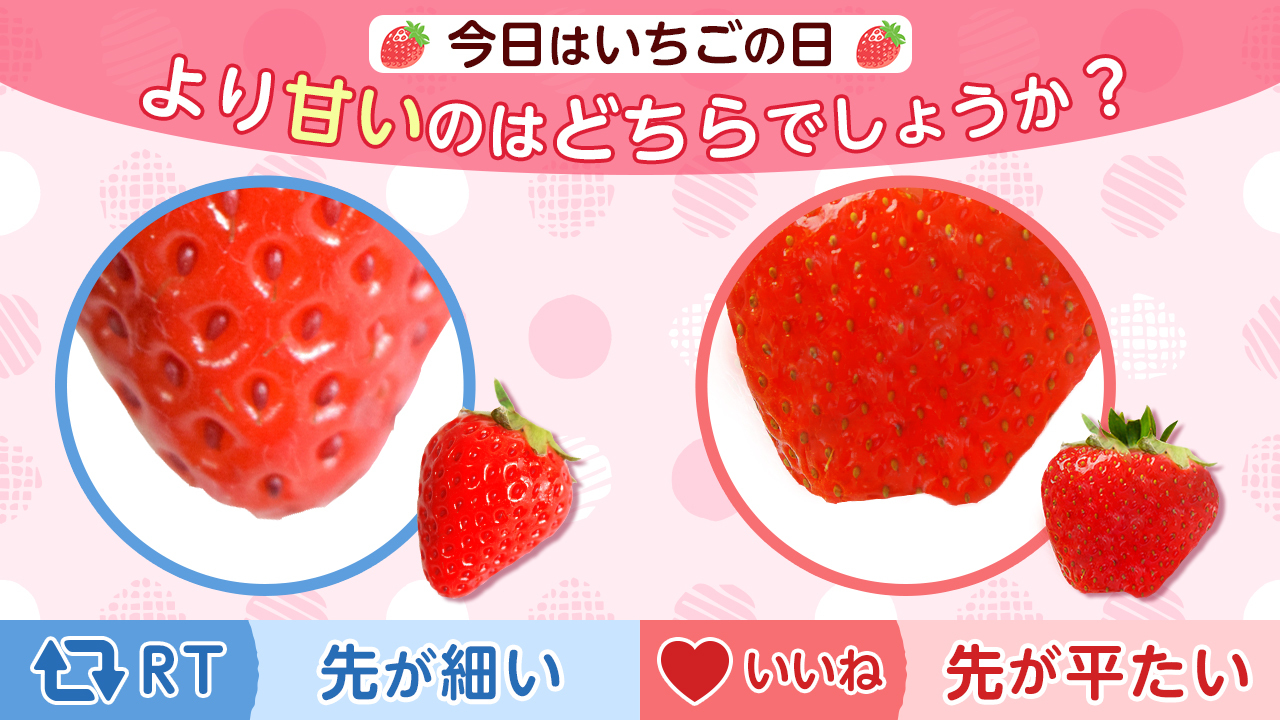 いちごです₊⁎⁺˳✧༚ 水上村のイチゴ用ラベルができました - 水上村公式ポータルサイト