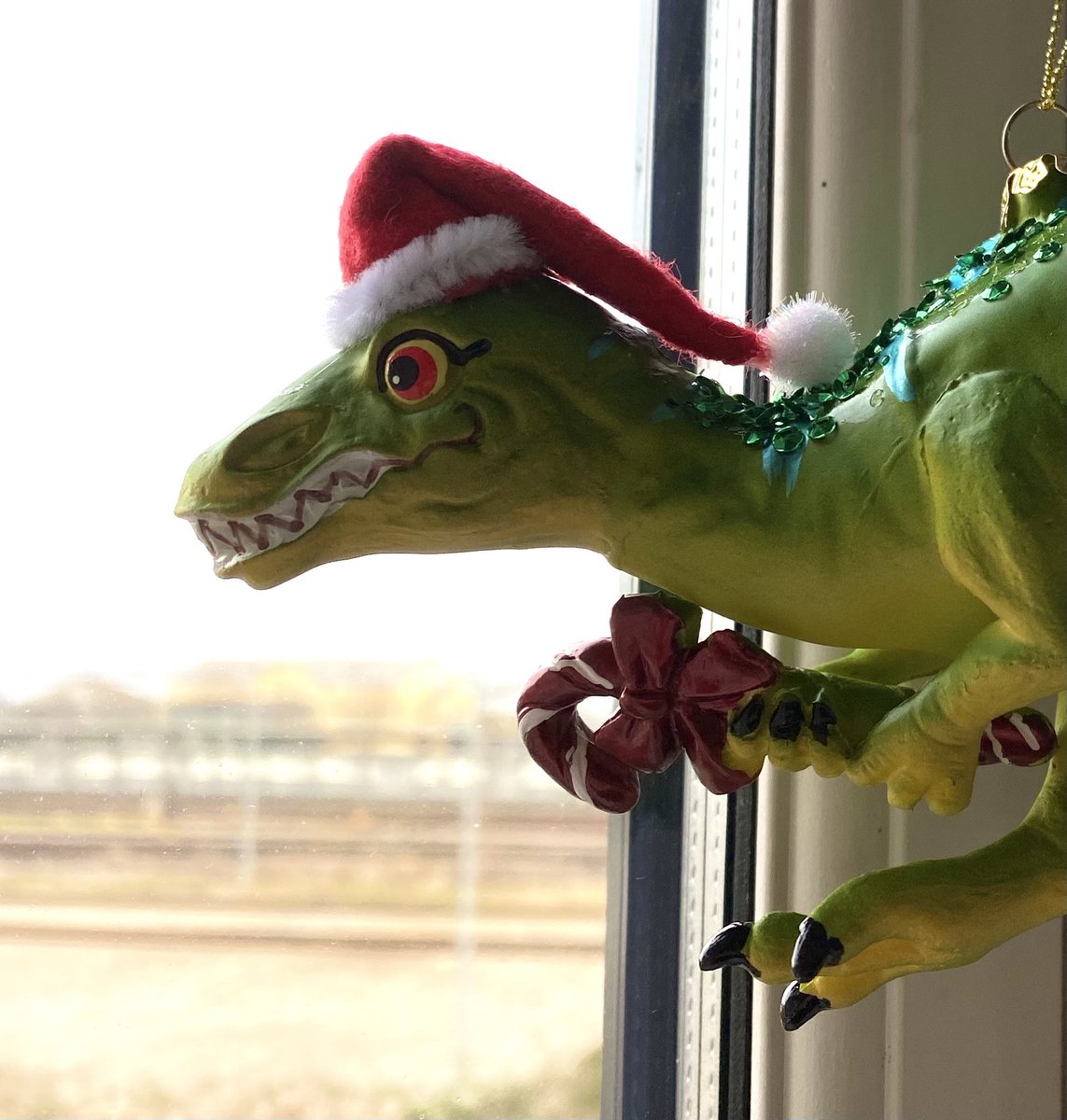 Santa-raptor. <a href="/dinopodcast/">Dinopodcast</a> bruger julen til at arbejde på næste episode:Afrikas dinosaurer. God jul! #dkpodcast #dmedier #dkvid #dkforsk #fossilfriday